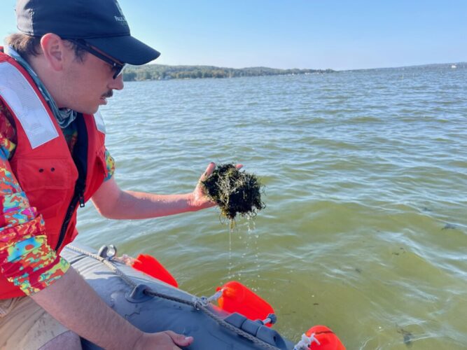 Grants To Help Fight Starry Stonewort | News, Sports, Jobs - Vimarsana News