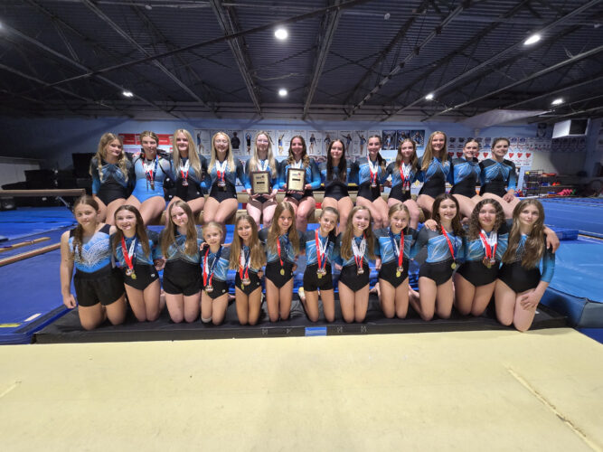 Flyers Gymnastics Concludes Seasons At State Meets