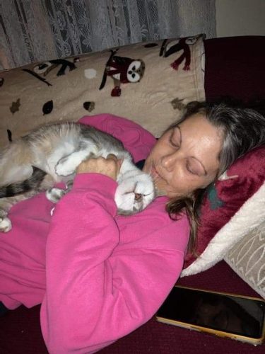 EL woman's effort combats area's stray cat problem | News, Sports, Jobs - Vimarsana News