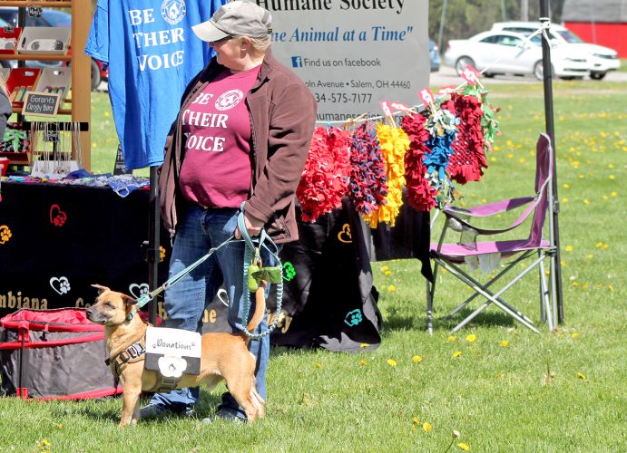 BARK IN THE PARK | News, Sports, Jobs - Vimarsana News