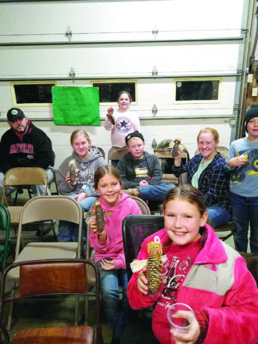 Hicks and Hayseeds 4-H club makes Christmas tree ornaments | News, Sports, Jobs - Vimarsana News