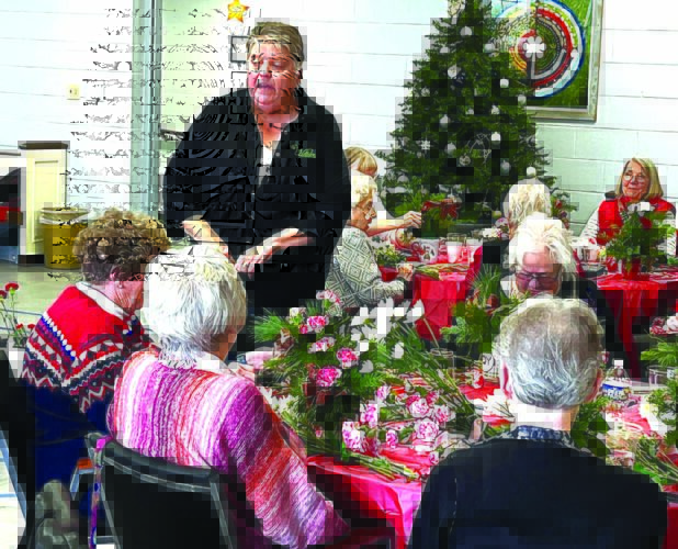 Columbiana-based Celebrating Seniors offers program, free lunch | News, Sports, Jobs - Vimarsana News