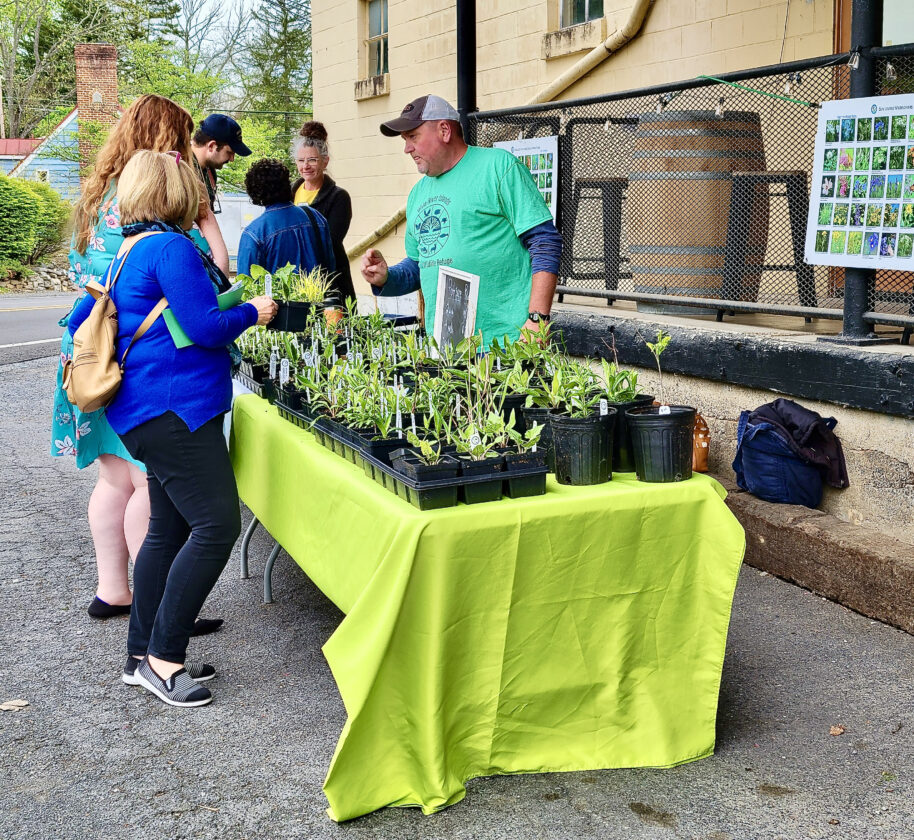 Native plant nursery owner talks problems with invasive plants in West Virginia | News, Sports, Jobs - Vimarsana News