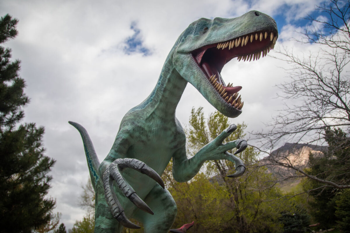 Dinosaur Park official offers details on expansion plans at Ogden venue | News, Sports, Jobs - Vimarsana News