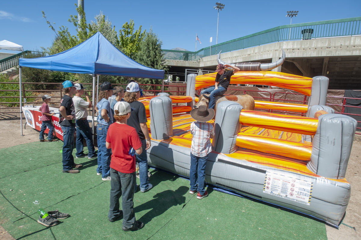 Weber County Fair kicks off Wednesday: 'This is Weber County's party' | News, Sports, Jobs - Vimarsana News