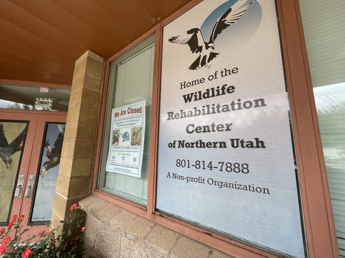 Ogden mayor grants 1-month extension on cusp of wildlife rehab center eviction | News, Sports, Jobs - Vimarsana News