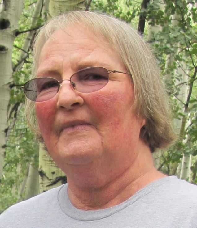 Jeanne Jenson | News, Sports, Jobs - Standard-Examiner - Vimarsana News