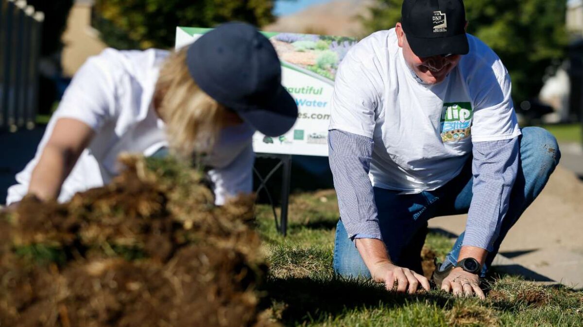 Utah bill to reduce turf on government landscape within Great Salt Lake Basin clears first hurdle | News, Sports, Jobs - Vimarsana News
