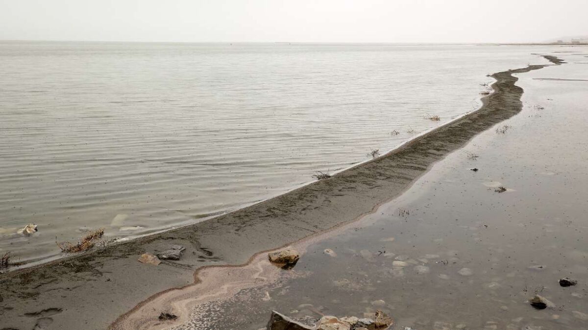 Utah may soon have a plan to ensure Great Salt Lake benefits from 'wet' water years | News, Sports, Jobs - Vimarsana News
