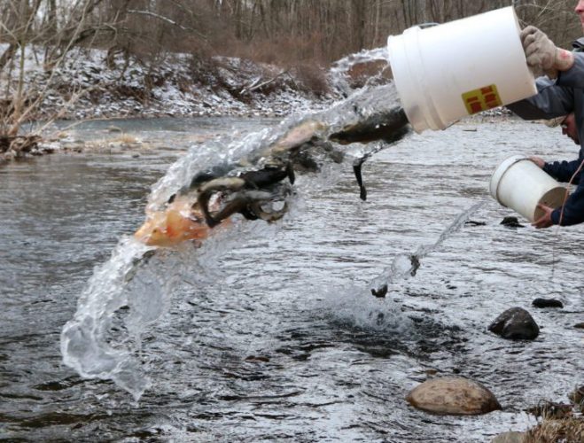 Academia, trout anglers have decades of collaboration | News, Sports, Jobs - Vimarsana News