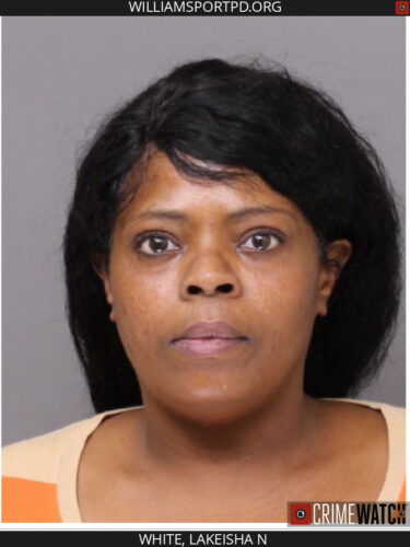 Mother charged with felony perjury | News, Sports, Jobs - Williamsport Sun-Gazette - Vimarsana News