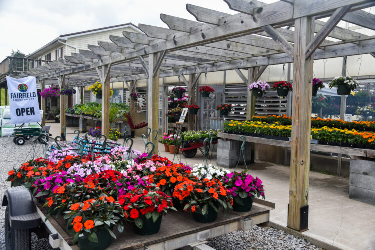 Fairfield Greenhouse a 'dream' come true for new owners | News, Sports, Jobs - Vimarsana News