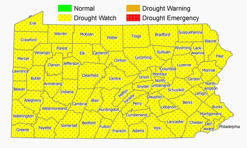 DEP declares statewide drought watch | News, Sports, Jobs - Williamsport Sun-Gazette - Vimarsana News