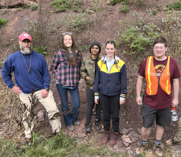 Paleontologists uncover 362M-year-old jaw specimens of extinct shark | News, Sports, Jobs - Vimarsana News