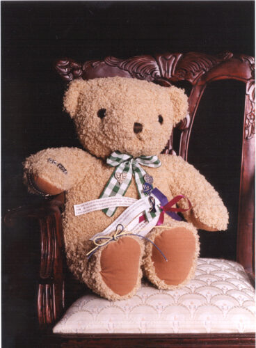 Teddy Bear is symbol of comfort in the midst of tragedy | News, Sports, Jobs - Vimarsana News