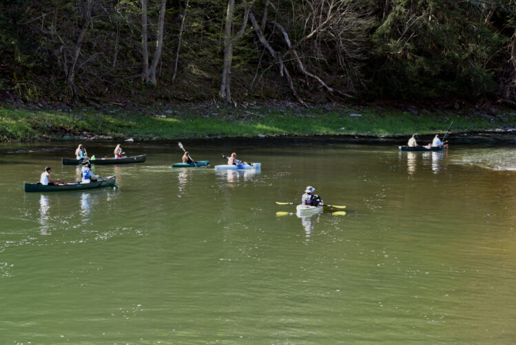 Preservation and stewardship: an educational perspective | News, Sports, Jobs - Vimarsana News