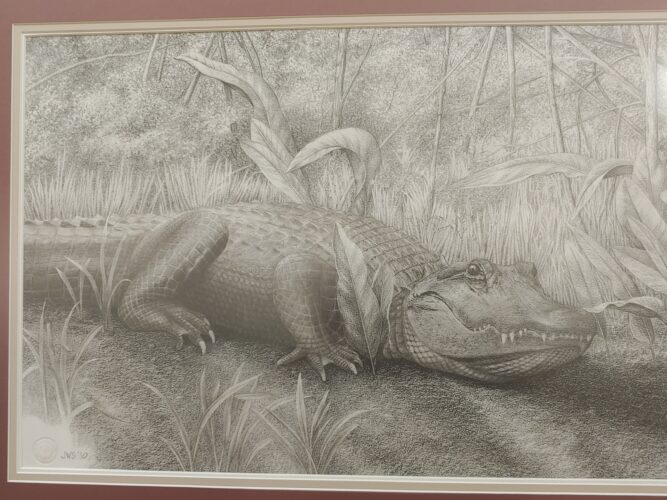 Thomas T. Taber Museum to observe First Friday with animal mounts, illustrations | News, Sports, Jobs - Vimarsana News