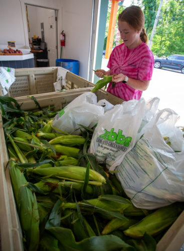 'Out of control': Deer are eating up corn farmers' profits | News, Sports, Jobs - Vimarsana News