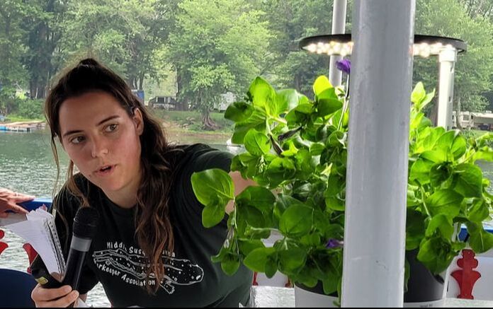 Sustainability, conservation and efficiency: The future of growing plants via hydroponics and aquaponics | News, Sports, Jobs - Vimarsana News