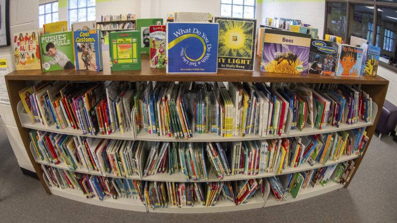 Library observes Banned Books Week | News, Sports, Jobs - Williamsport Sun-Gazette - Vimarsana News