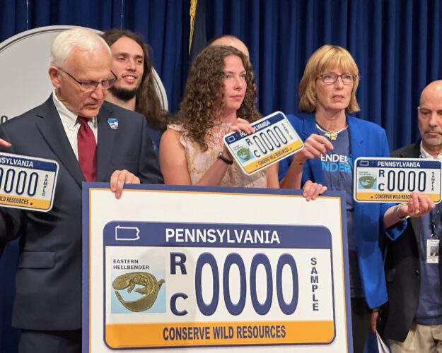 Pennsylvania's snot otter gets prime spot on new state license plate | News, Sports, Jobs - Vimarsana News