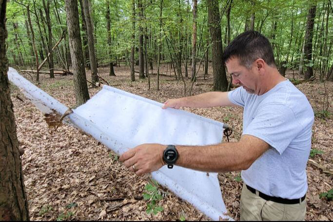 Ticks and tick-borne illnesses are on the rise this year | News, Sports, Jobs - Vimarsana News
