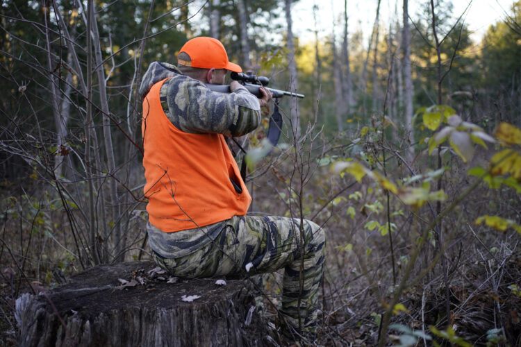 Deer season awaits Pennsylvania hunters | News, Sports, Jobs - Williamsport Sun-Gazette - Vimarsana News