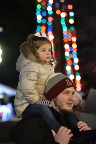 Festival of Lights to bring holiday fun; other areas to host similar events | News, Sports, Jobs - Vimarsana News