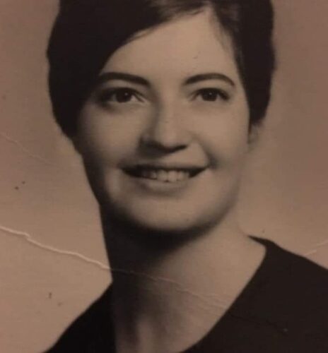 Carol Lee Niklaus VanZile | News, Sports, Jobs - Williamsport Sun-Gazette - Vimarsana News