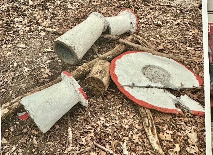 Vandals strike Lycoming County nature trail | News, Sports, Jobs - Vimarsana News