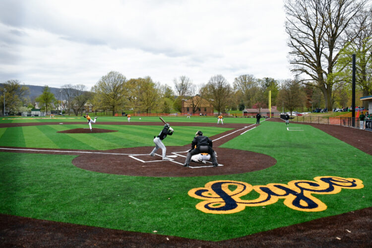 Lycoming College ballfields at Brandon Park ready for games | News, Sports, Jobs - Vimarsana News