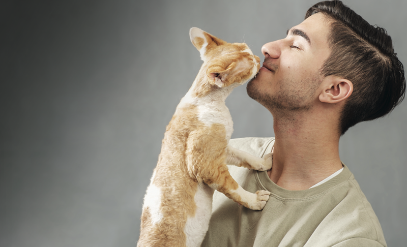 ‘Help fill this need’: Donations key for plan to revive spay/neuter program at Lycoming County SPCA