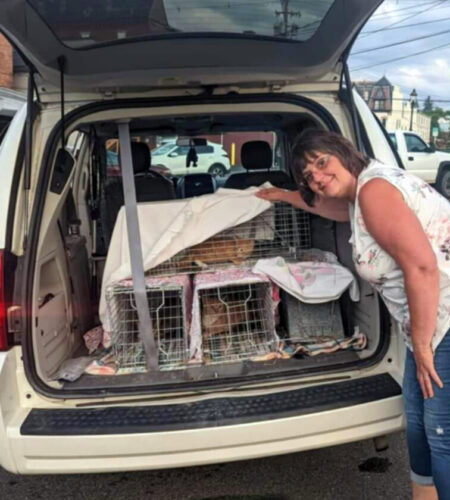 Hope’s Dream Rescue & Sanctuary helps cats in Centre, Clinton counties