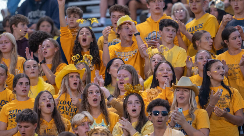 District 4 Class AAA playoffs: Mount Carmel at Montoursville