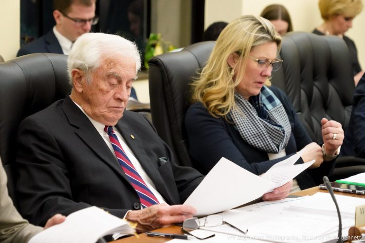 Storch Eyes Redistricting Committee | News, Sports, Jobs - Vimarsana News