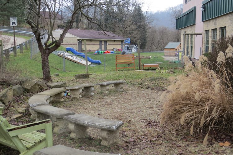 Steenrod Elementary School Students To Plant Herbs, Hope For the Future | News, Sports, Jobs - Vimarsana News