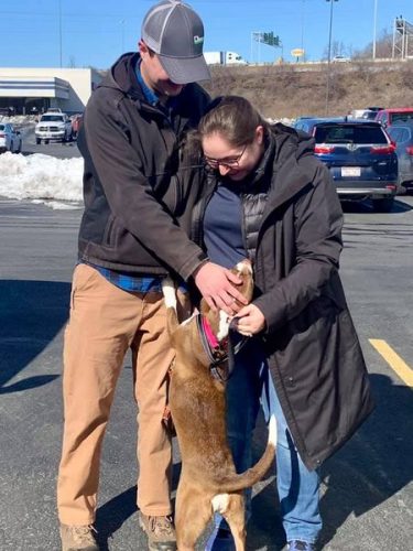 St. Clairsville Pet Rescue Matches Dogs With Families | News, Sports, Jobs - Vimarsana News
