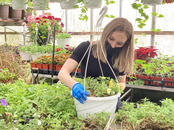 Business Is Blooming at Wheeling Park High School | News, Sports, Jobs - Vimarsana News