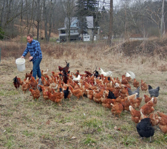 Everywhere a Chick, Chick | News, Sports, Jobs - Vimarsana News