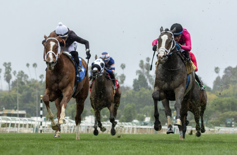 Horse racing's national anti-doping program starts Monday | News, Sports, Jobs - Vimarsana News