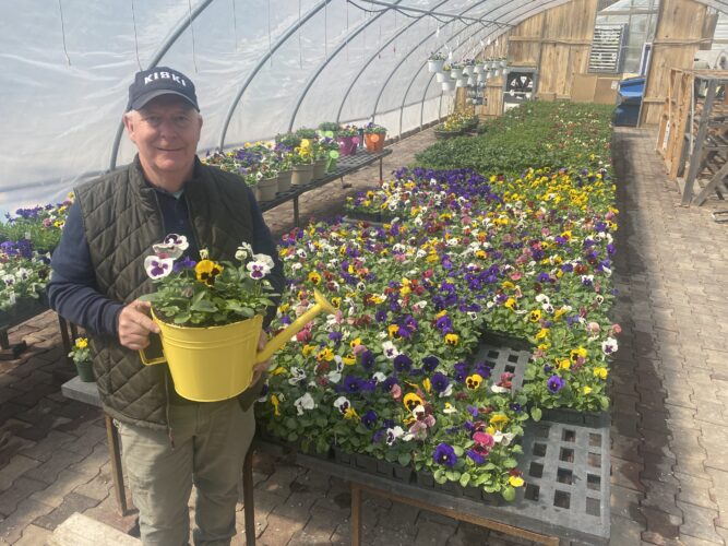 Gardeners Like Keeping It Contained These Days | News, Sports, Jobs - Vimarsana News