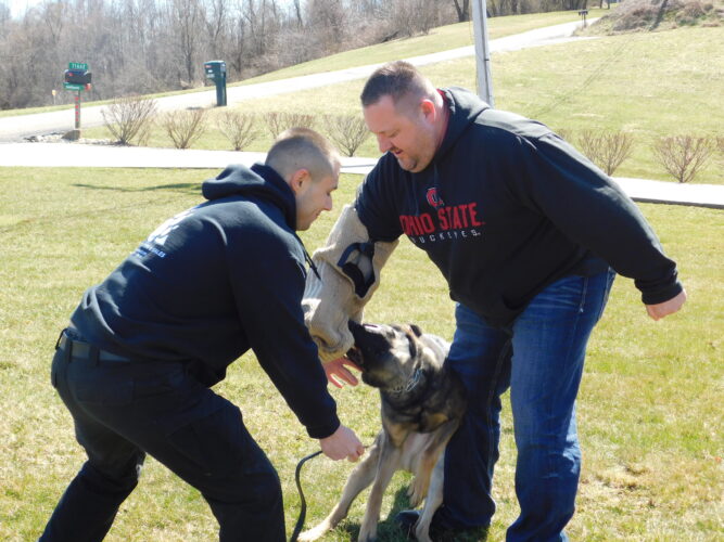 Martins Ferry's K-9 'Patch' Making Namesake's Family Proud | News, Sports, Jobs - Vimarsana News