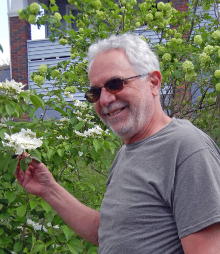 THE PLANTSMAN | News, Sports, Jobs - The Intelligencer - Vimarsana News