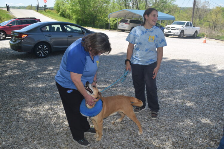 Spay/Neuter Clinic at Marshall County Animal Shelter Reopens After a Year | News, Sports, Jobs - Vimarsana News
