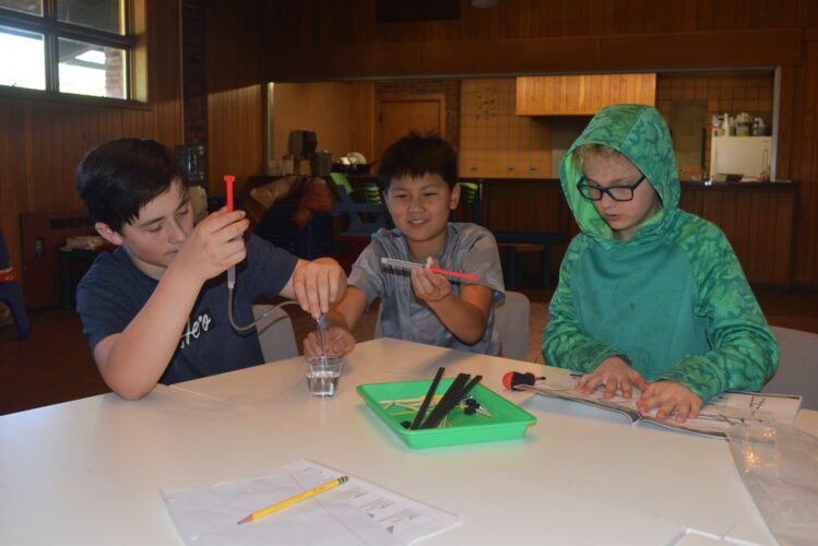 Wheeling Country Day Students Get Their Claws Into Project | News, Sports, Jobs - Vimarsana News