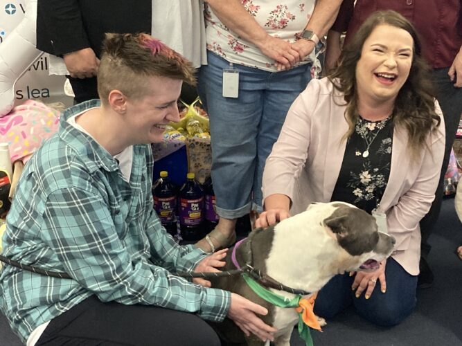 Williams Lea Employees' Efforts Go to the Dogs — And Cats, Too — at Ohio County Animal Shelter | News, Sports, Jobs - Vimarsana News