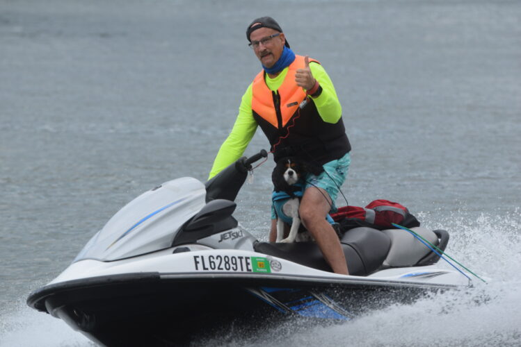 'Ollie The Do-Good Dog' Takes to Ohio River To Raise Money for No-Kill Shelters | News, Sports, Jobs - Vimarsana News