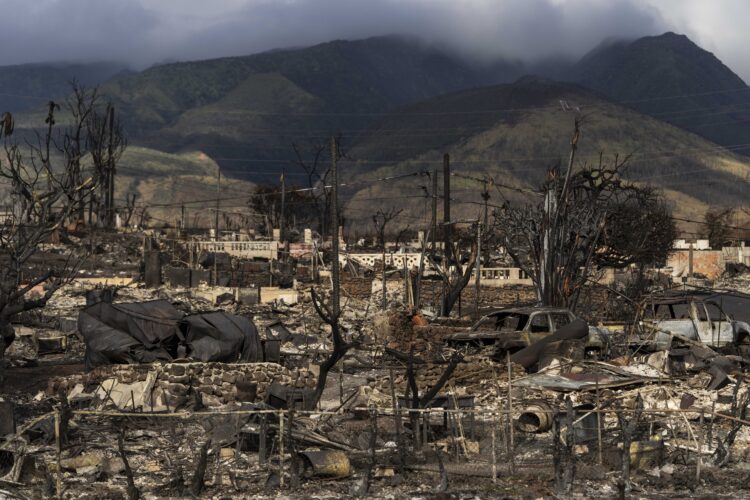 Release of Names Helps Winnow List of Missing After Maui Fires | News, Sports, Jobs - Vimarsana News