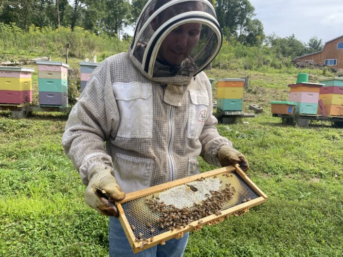 Wheeling Farm Listed as Stop on West Virginia Honey Trail | News, Sports, Jobs - Vimarsana News