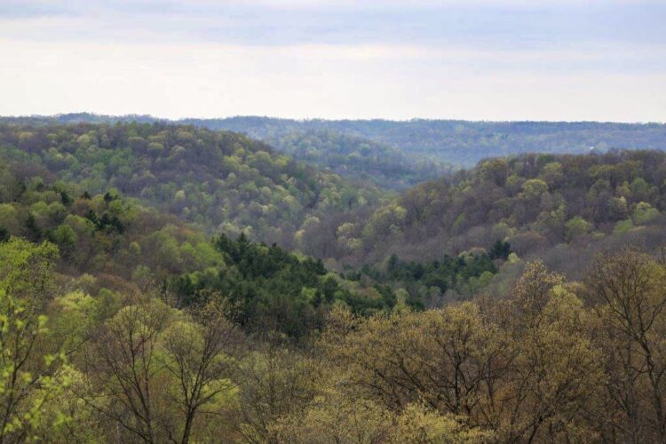 Founding Father's Legacy Revisited at Wayne National Forest in Ohio | News, Sports, Jobs - Vimarsana News